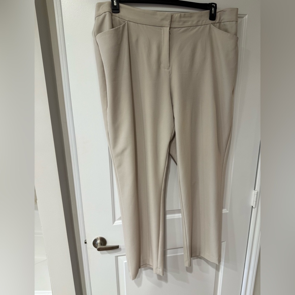 JM Collection Light Beige Pants